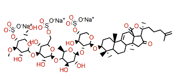 Quadrangularisoside E